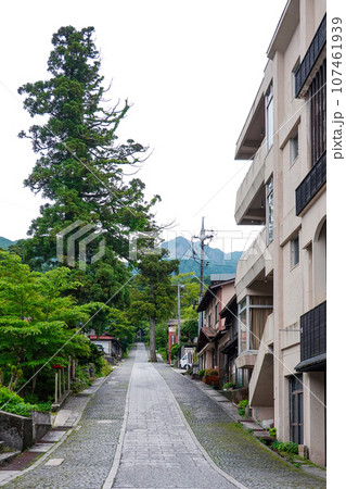 大山参道 御幸参道本通り(鳥取県大山町) 大山参道 御幸参道本通り(鳥取県大山町) 107461939