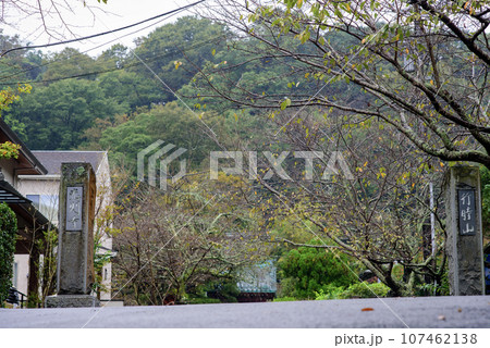 鎌倉10月　光則寺1 107462138