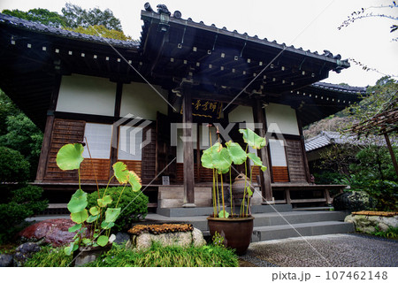 鎌倉10月　光則寺10 107462148