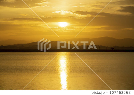 Bicycle path along Yeongsangang River 107462368