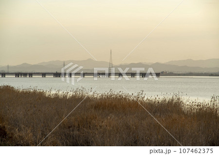 Bicycle path along Yeongsangang River 107462375