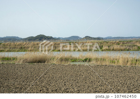 Bicycle path along Yeongsangang River 107462450