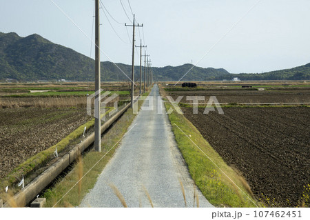 Bicycle path along Yeongsangang River Bicycle path along Yeongsangang River 107462451