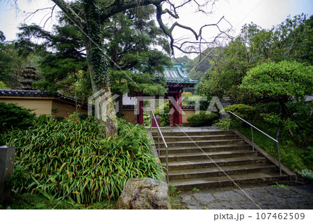鎌倉10月　光則寺17 107462509