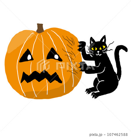 ハロウィーンのかぼちゃで爪研ぎをする黒ねこ ハロウィーンのかぼちゃで爪研ぎをする黒ねこ 107462588