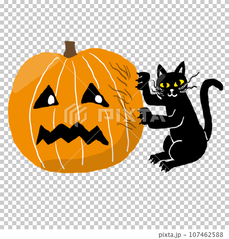 ハロウィーンのかぼちゃで爪研ぎをする黒ねこ ハロウィーンのかぼちゃで爪研ぎをする黒ねこ 107462588