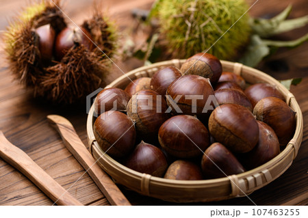 秋の味覚 栗 くり クリ 生栗 (古板の背景) 木の実 イガグリ 栗の実 秋の味覚 栗 くり クリ 生栗 (古板の背景) 木の実 イガグリ 栗の実 107463255