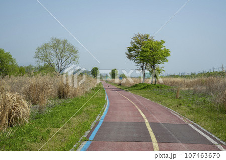 Bicycle path along Yeongsangang River 107463670