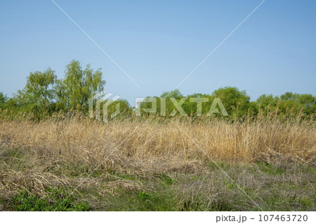 Bicycle path along Yeongsangang River 107463720