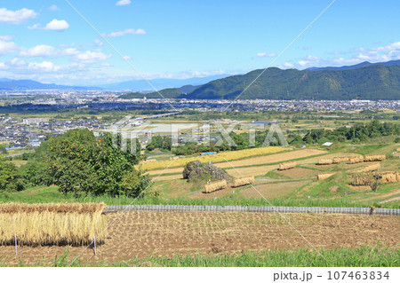 姨捨の棚田　秋景 107463834
