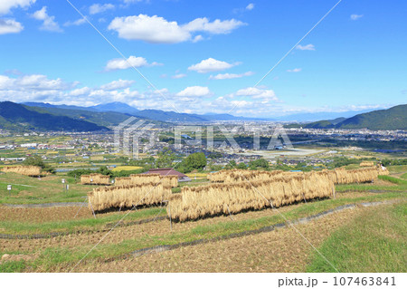 姨捨の棚田 秋景 姨捨の棚田 秋景 107463841