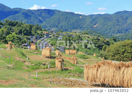 姨捨の棚田　秋景 107463852