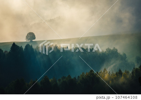 Autumn misty mountainous landscape with morning sun rays shining 107464108