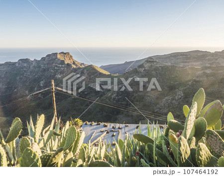 View over roof with opuntia and agave cacti on sharp cliffs of rocky north coast of La Gomera island. Ocean and arid mountain in soft backlight. Canary Islands, Spain. View over roof with opuntia and agave cacti on sharp cliffs of rocky north coast of La Gomera island. Ocean and arid mountain in soft backlight. Canary Islands, Spain. 107464192