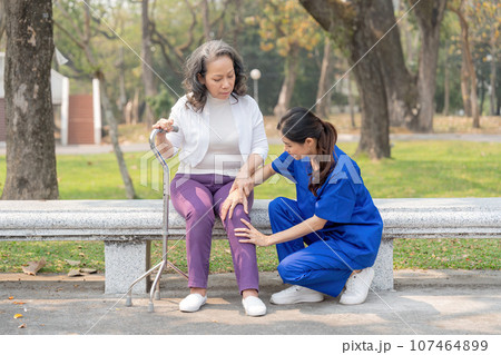 A female nurse or caregiver check the knee the elderly caring the hospital park 107464899