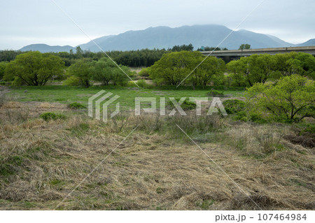 Bicycle path along Yeongsangang River 107464984