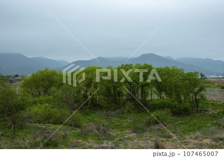 Bicycle path along Yeongsangang River 107465007