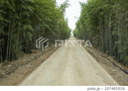 Bicycle path along Yeongsangang River 107465026