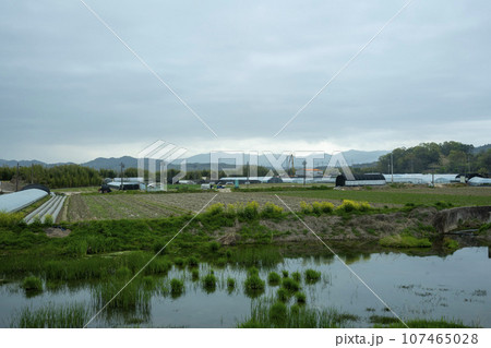 Bicycle path along Yeongsangang River 107465028