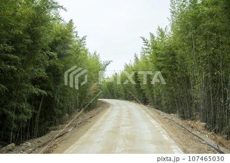 Bicycle path along Yeongsangang River 107465030