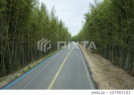 Bicycle path along Yeongsangang River 107465181