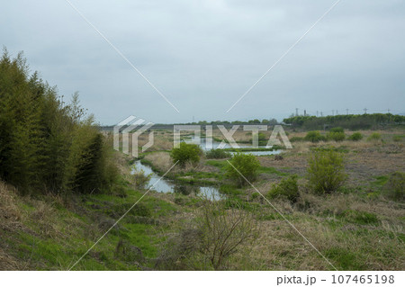 Bicycle path along Yeongsangang River Bicycle path along Yeongsangang River 107465198