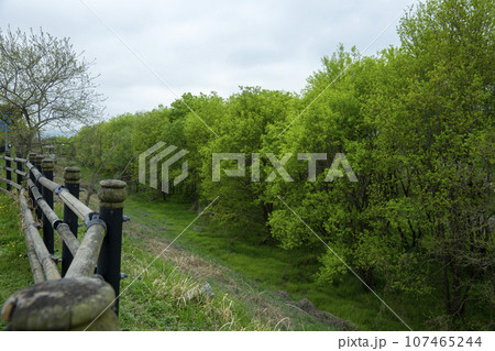 Bicycle path along Yeongsangang River 107465244