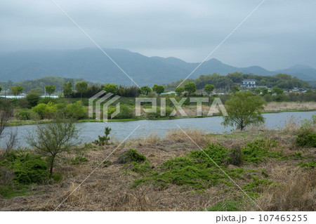 Bicycle path along Yeongsangang River 107465255