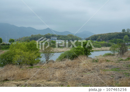 Bicycle path along Yeongsangang River 107465256