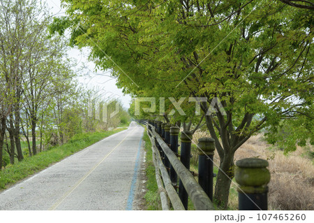 Bicycle path along Yeongsangang River Bicycle path along Yeongsangang River 107465260