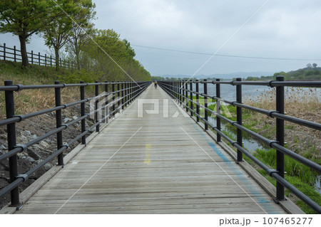 Bicycle path along Yeongsangang River 107465277