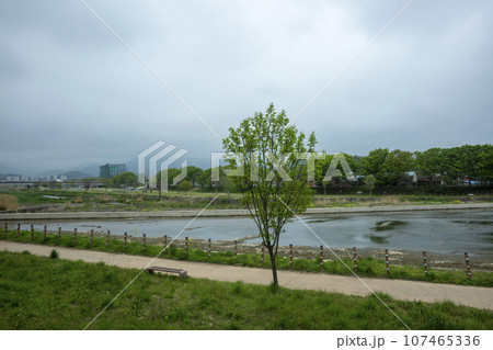 Bicycle path along Yeongsangang River Bicycle path along Yeongsangang River 107465336