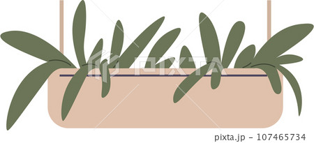 Home or office plant in pot. Vector illustration. Foliage plant in pot for interior. Home plant in flowerpot. Houseplants isolated on white. Trendy green home decor. Houseplant in ceramic container Home or office plant in pot. Vector illustration. Foliage plant in pot for interior. Home plant in flowerpot. Houseplants isolated on white. Trendy green home decor. Houseplant in ceramic container 107465734