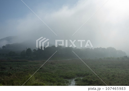 Bicycle path along the Seomjingang River 107465983