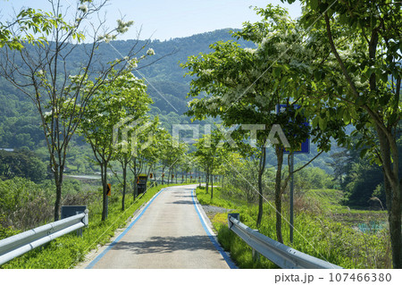 Bicycle path along the Seomjingang River 107466380