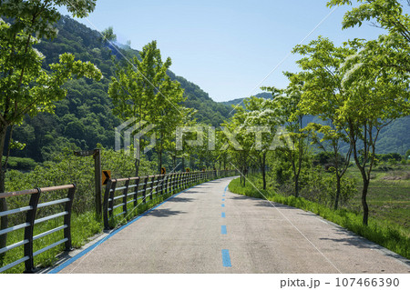 Bicycle path along the Seomjingang River 107466390