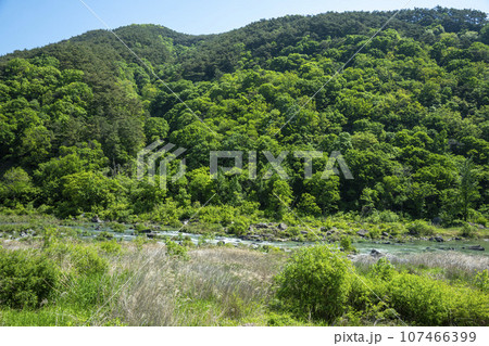 Bicycle path along the Seomjingang River Bicycle path along the Seomjingang River 107466399