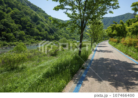 Bicycle path along the Seomjingang River 107466400