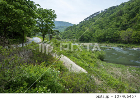 Bicycle path along the Seomjingang River 107466457