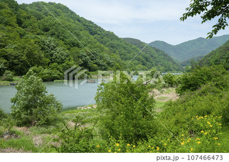 Bicycle path along the Seomjingang River 107466473