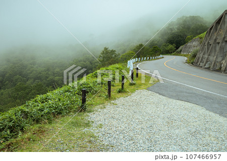 霧に包まれたビーナスライン【小県郡長和町】 107466957