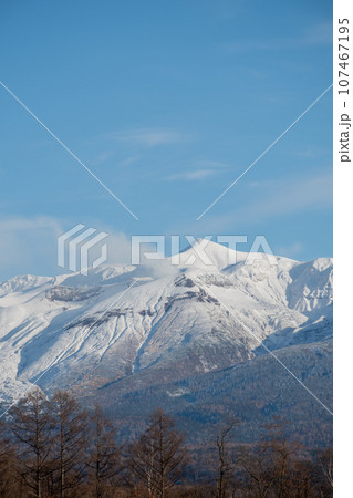 晩秋の晴れた日の雑木林と冠雪の山並み 十勝岳 晩秋の晴れた日の雑木林と冠雪の山並み 十勝岳 107467195
