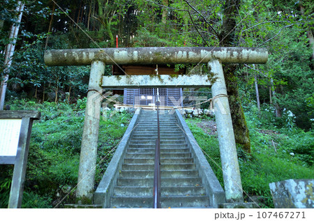 埼玉県飯能市上名栗上名栗のパワースポット 八坂神社 埼玉県飯能市上名栗上名栗のパワースポット 八坂神社 107467271