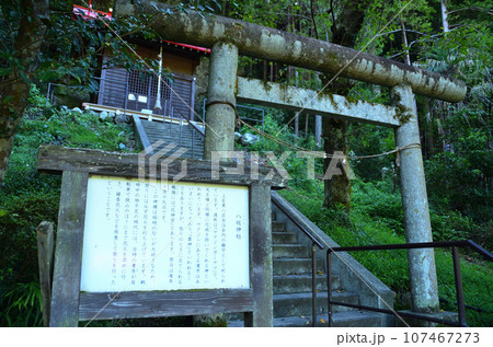 埼玉県飯能市上名栗上名栗のパワースポット　八坂神社 107467273