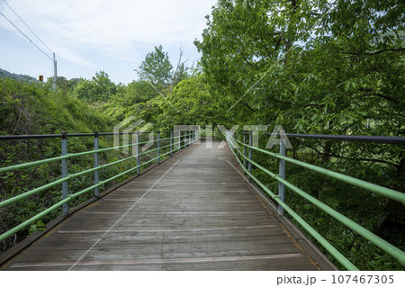 Bicycle path along the Seomjingang River 107467305