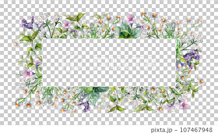 Frame of meadow medicinal flower, lungwort herb plants watercolor illustration isolated on white. Daisy, chamomile, nettle, achillea millefolium hand drawn. Design for label, package, postcard Frame of meadow medicinal flower, lungwort herb plants watercolor illustration isolated on white. Daisy, chamomile, nettle, achillea millefolium hand drawn. Design for label, package, postcard 107467948