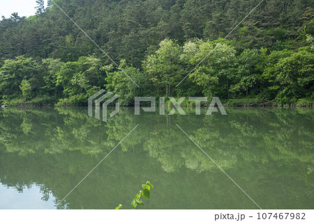 Bicycle path along the Seomjingang River Bicycle path along the Seomjingang River 107467982