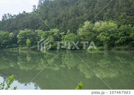 Bicycle path along the Seomjingang River Bicycle path along the Seomjingang River 107467983