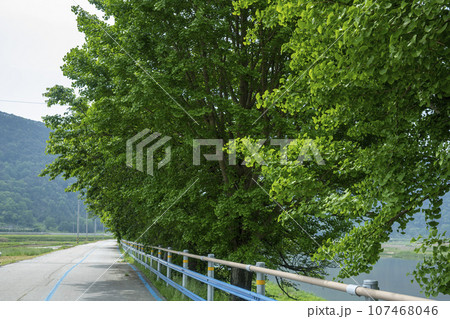 Bicycle path along the Seomjingang River 107468046