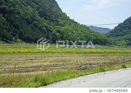 Bicycle path along the Seomjingang River 107468066